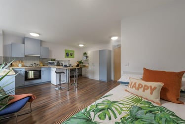 1 bed studio, Portland Road, Shieldfield, Newcastle, NE21DT - Image 4